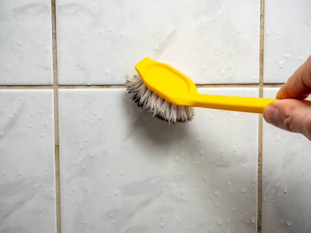 Best Emergency Mold Removal  in Jonesborough, TN