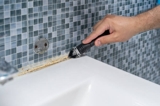Best Affordable Mold Removal  in Jonesborough, TN