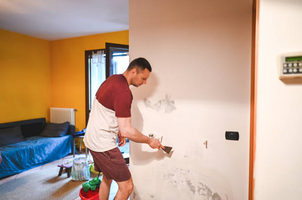 Best Residential Mold Removal  in Jonesborough, TN